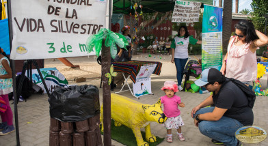 El Huemul, El puma Chileno