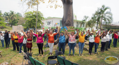 Alrededor de Arbol