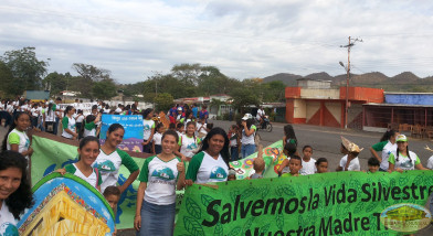 lara, zulia y regione de los llanos y los andes