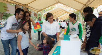 información en modulos
