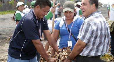 Participación en campaña