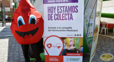 Participación en campaña