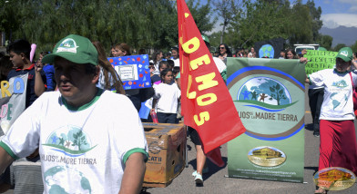 Participación en campaña.