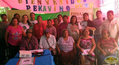Participación indigenas.
