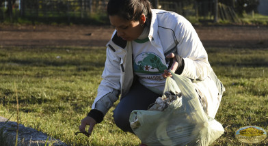 jornada ambiental