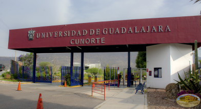 Universidad de Guadalajara.