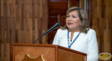 Luz del Carmen Ibáñez Carranza