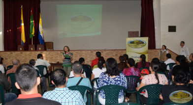 Psicóloga Escuela Normal