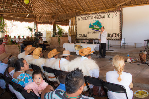 mexico, cultura indigena, restauracion de naturaleza, yucatan