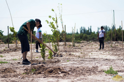 conservación de especies vegetales