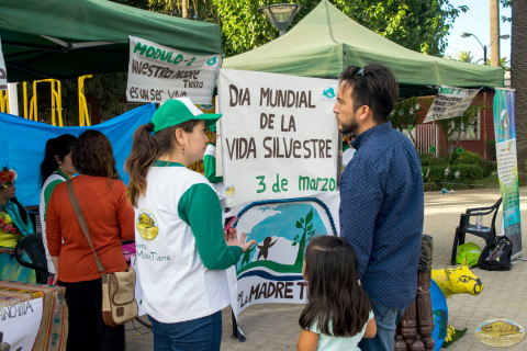 Publico Participante