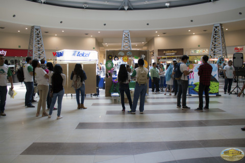 Exposición ambiental