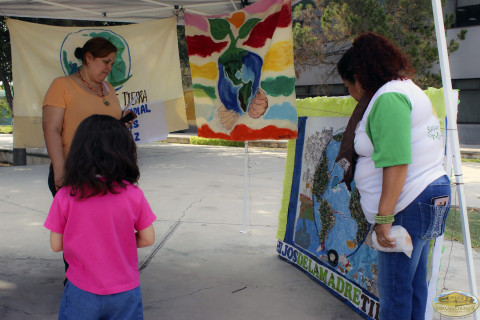 Feria Madre Tierra