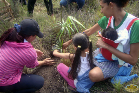 Brasil, futuras generaciones apoyando campaña de siembra de arboles