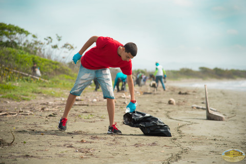 Voluntario limpiando y ayudando Voluntario limpiando