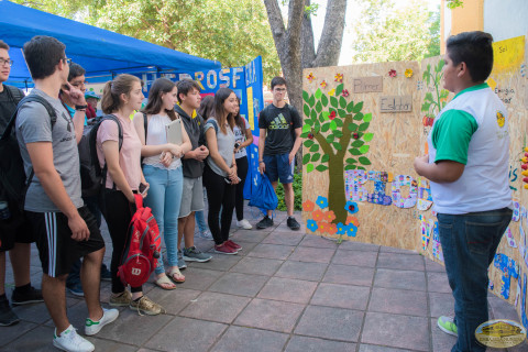 Movimiento Ambiental “Guardianes por la Paz de la Madre Tierra”. Movimiento ambiental