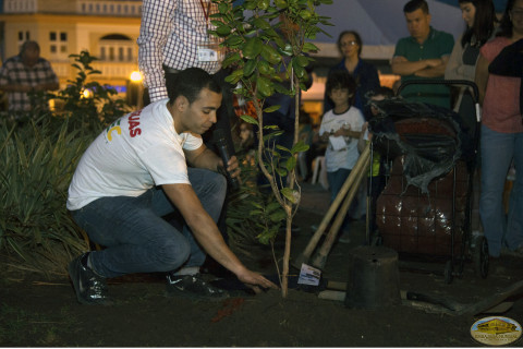 Reforestación de la plaza en Caguas. Sembrando arboles