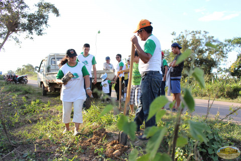 Campaña de reforestación