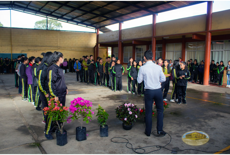 entrega de planta