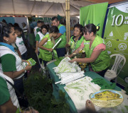 Stand Mandatos Ambientales 