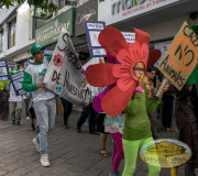 Fauna Salvaje Marcha para conservar