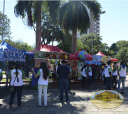 Celebración Día de la Tierra