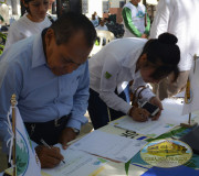 Firmas de apoyo