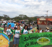 lara, zulia y regione de los llanos y los andes