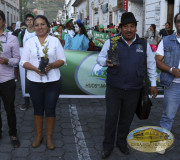 desfile ambiental