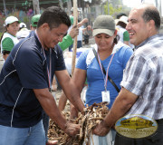 Participación en campaña