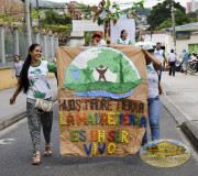 Desfile