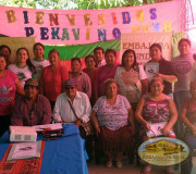 Participación indigenas.