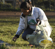 jornada ambiental