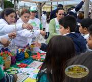 feria ambiental