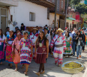 marcha indigenas