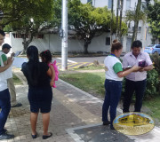 Transeúntes Firmando.