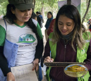 Firmando voluntariamente.