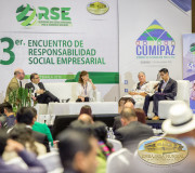 RSE y negocios sustentables