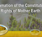 Proclamation of the Constitution of the Rights of Mother Earth | GEAP