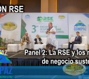CUMIPAZ 2018 - Sesión RSE - Panel 2: La RSE y los modelos de negocio sustentables | EMAP