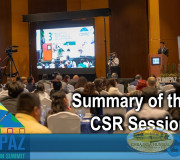 CUMIPAZ - Summary of the day: CSR Session 2018 | GEAP