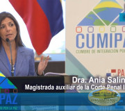 CUMIPAZ 2017 - Sesión Justicia - Dra. Ania Salinas Cerda | EMAP