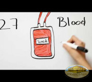 Life is in the Blood - Donation in Illinois, USA I GEAP