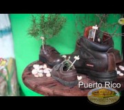 2016 01 26   Dia mundial de la Educacion Ambiental