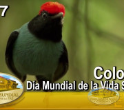 Hijos de la Madre Tierra - Colombia - Día Mundial de la Vida Silvestre 2017 | EMAP