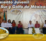Movimiento Juvenil - Encuentros en la Zona Sur y Golfo de México | EMAP
