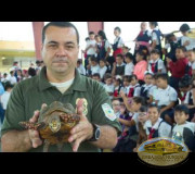 Día Internacional de la Vida Silvestre, Puerto Rico | EMAP