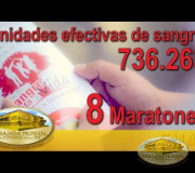 Consolidado 8 Maratones Internacionales de Donación de Sangre | EMAP